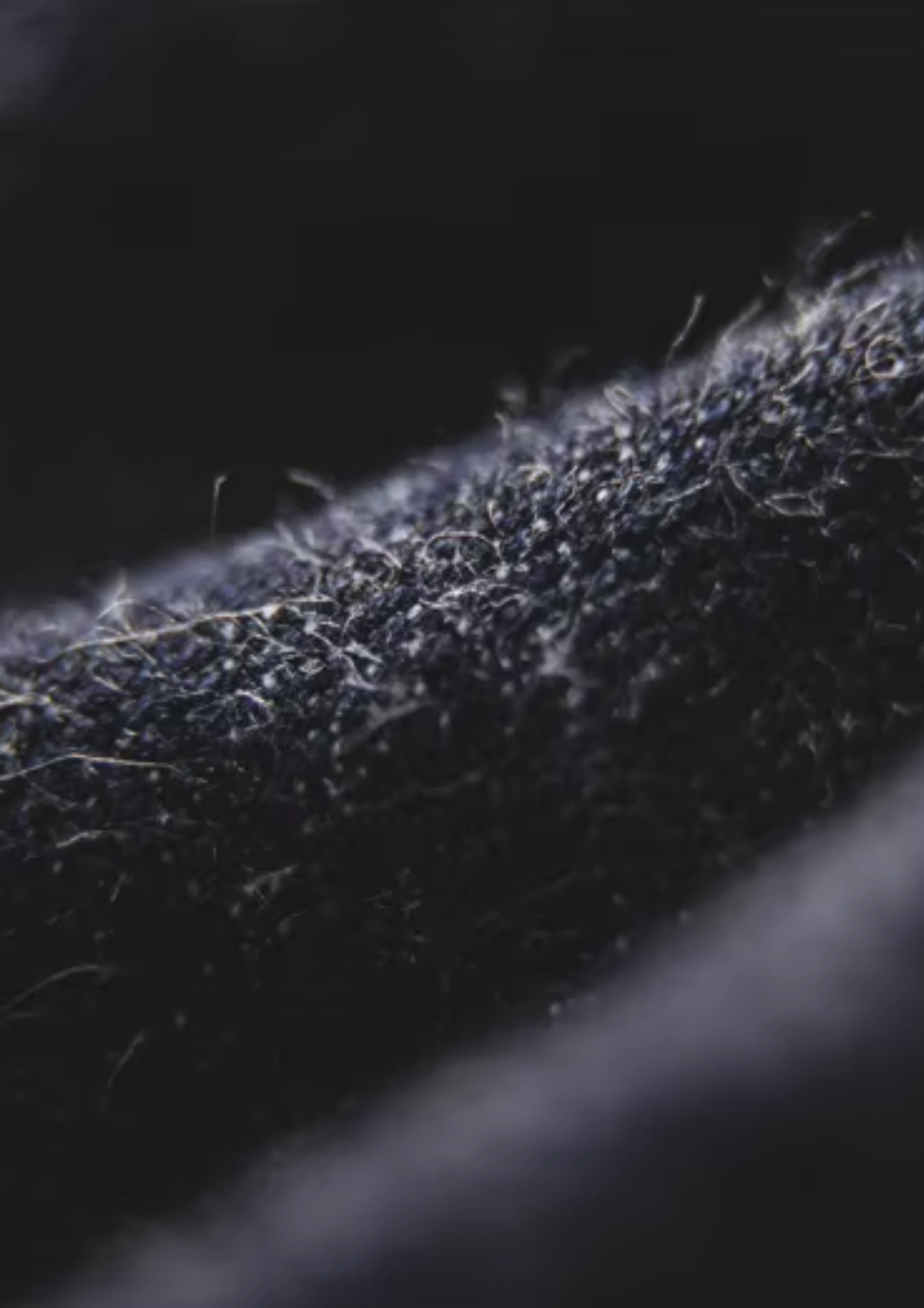 The Heritage Denim Jacket